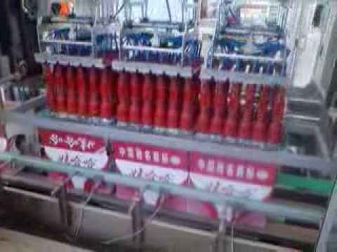 Grab type auto carton box  packing machine