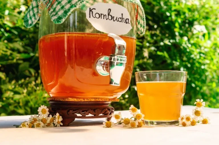 Kombucha-production-line-with-automatic-filling equipment
