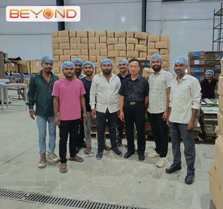 Beyond Machinery installation in Maharashtra India with the plant team
