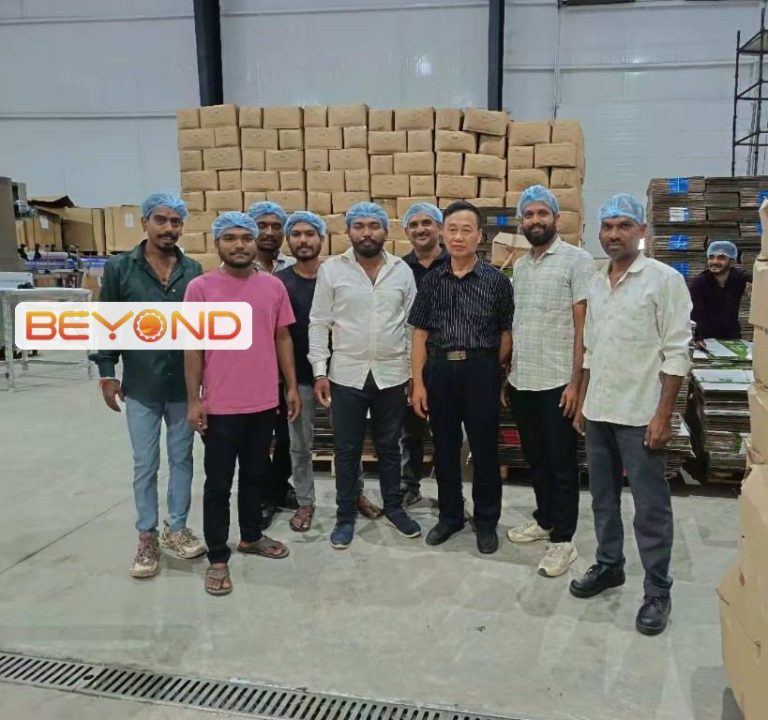 Beyond Machinery installation in Maharashtra India with the plant team